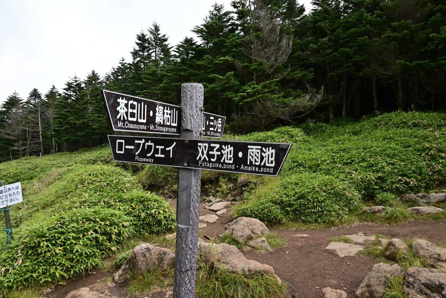 雨池峠
左は縞枯山荘を経由して坪庭、北横岳ロープウェイ駅
取り敢えず雨池山へ💪