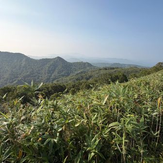 隣のお山も良い形