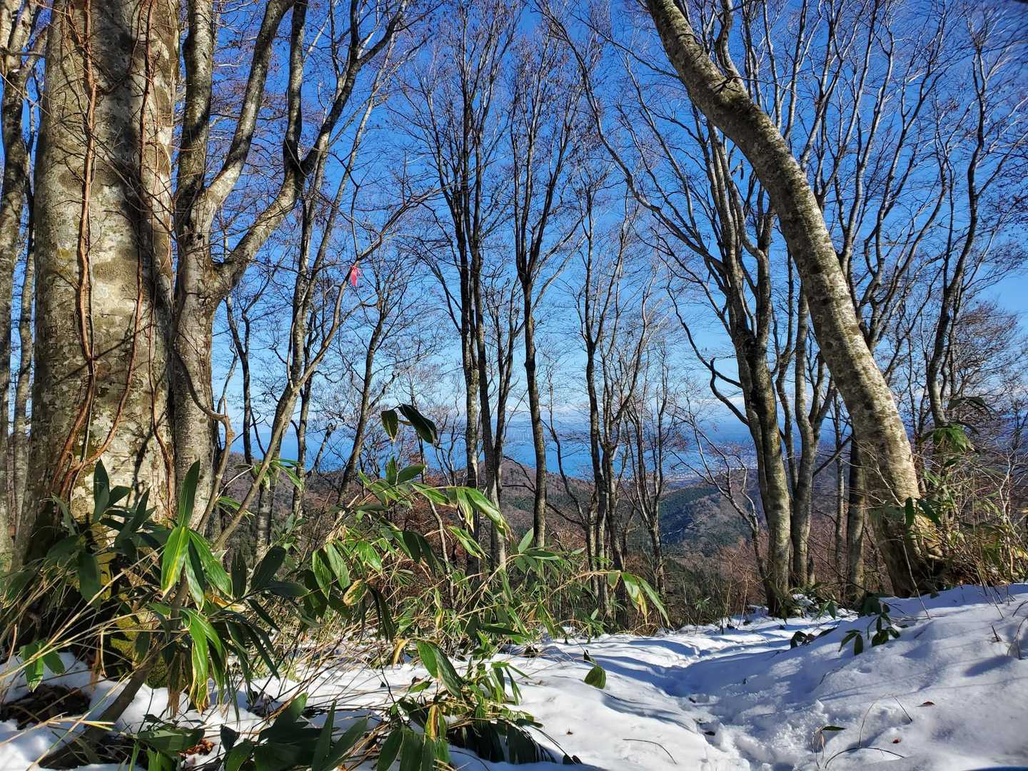 烏帽子岳 往復コースの写真