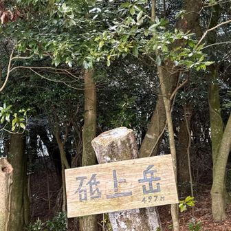 先週とはまた違った景色🤗