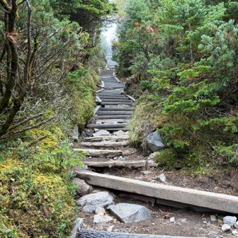 整備されてて歩きやすかったです！