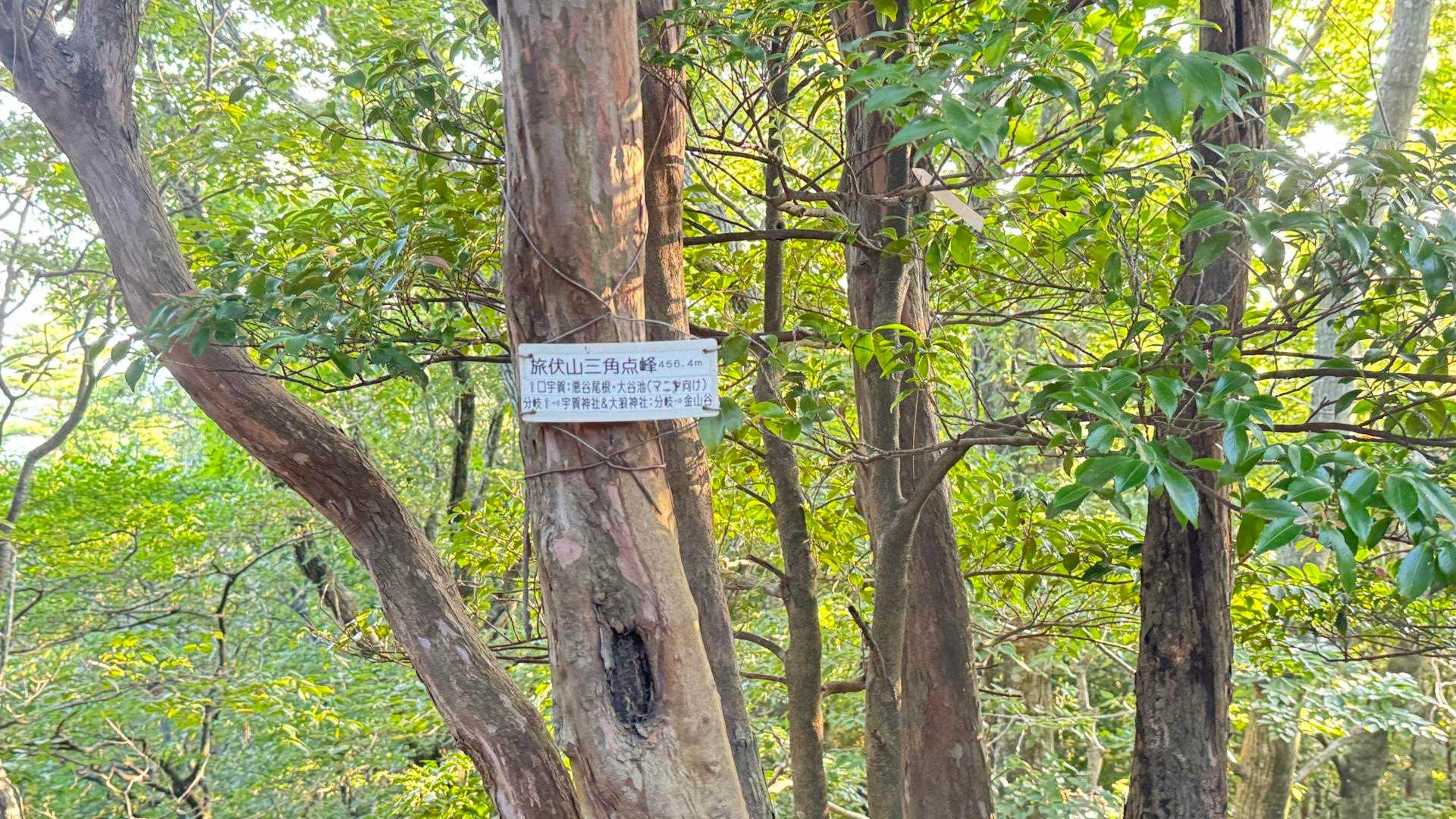 旅伏山登山口-旅伏峰 往復コースの写真