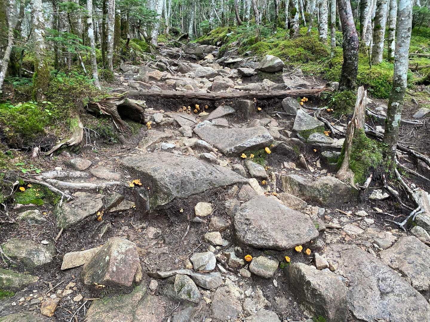 金峰山 | 神宿る巨石がそびえる奥秩父随一の霊山を、日本一高い車道峠からめざすの写真