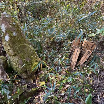 第六経塚

少しだけ通り過ぎてしまって戻ってきてわかりにくくて道からは少し登った場所にありました。