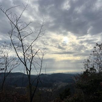 真岡市方面？
大政山は諦め下山します。