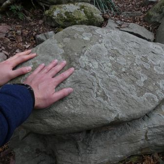 蛤石をナデナデ〜❤️
膝よよくなれ、膝よよくなれ〜🙏

しつこいくらい撫でまくりました❤️