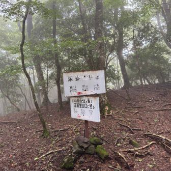 正面道との分岐点
　　東峰へ