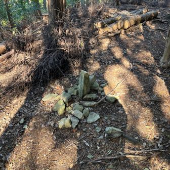 立てただけみたいな（＾＾）