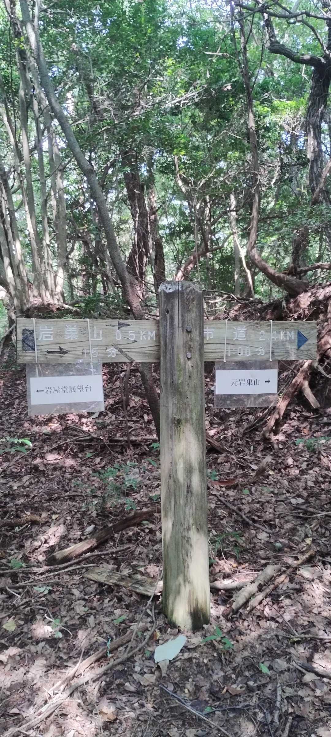 元岩巣山 往復コースの写真