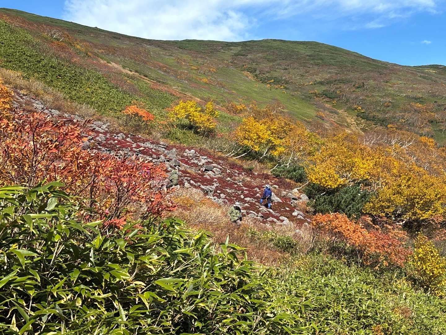 平山 往復コースの写真