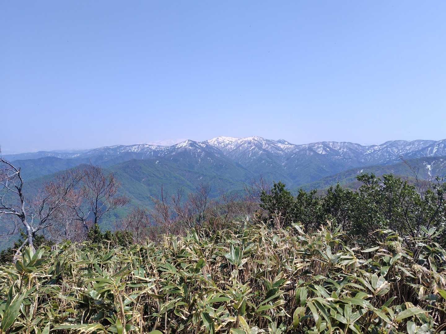 だいにっつぁんの向こうにうっすらはくしゃん🗻。