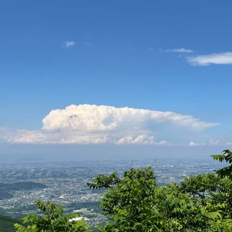 鯨雲