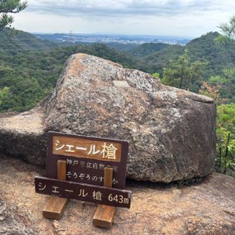 先客さんがゆっくりしていたし眠いしですぐ下山