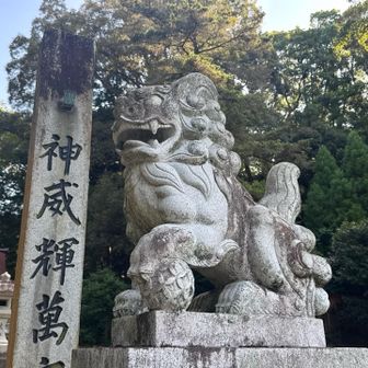 ア゛！
