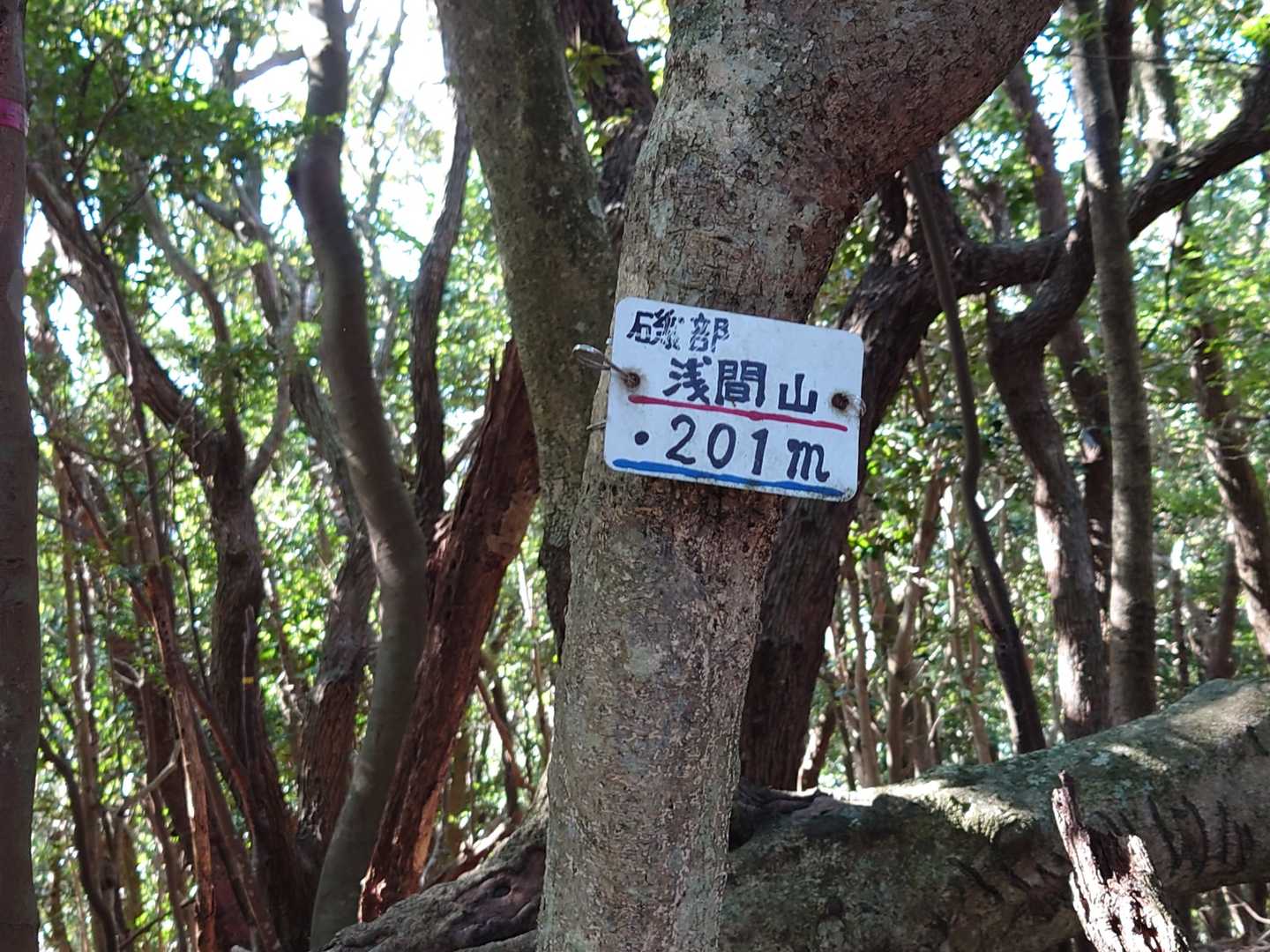 浅間山山頂に着いたぞ🙆🙆
やっとここまで来れたんだ💪