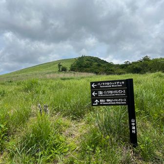 鉄砲木ノ頭の方は開けた道