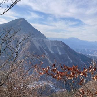 両神武甲タッグはレア