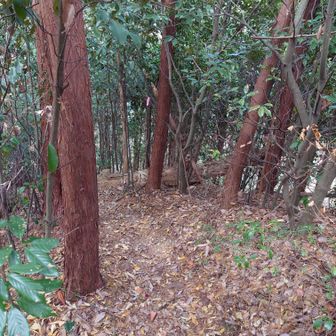 さ、下ります。