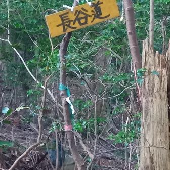 長谷道の案内板