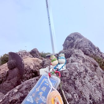 　　　かみやんグループと遭遇のあとは
　　　東峰〜　NCE No.11 無事🐸