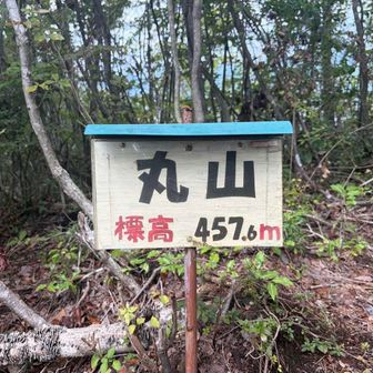 7⃣丸山山頂②