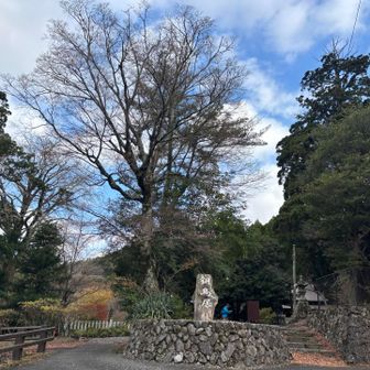 1週間まえの11月も英彦山を歩いた。
その時、英彦山聖域復興プロジェクトがあることを知った。