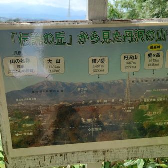 え！逆に富士山見えそうなのに、見えないんだ😆