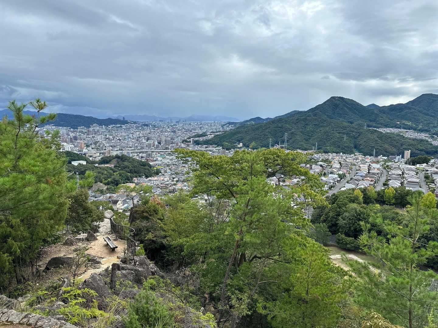権現山-鳥越峠-阿武山 往復コースの写真