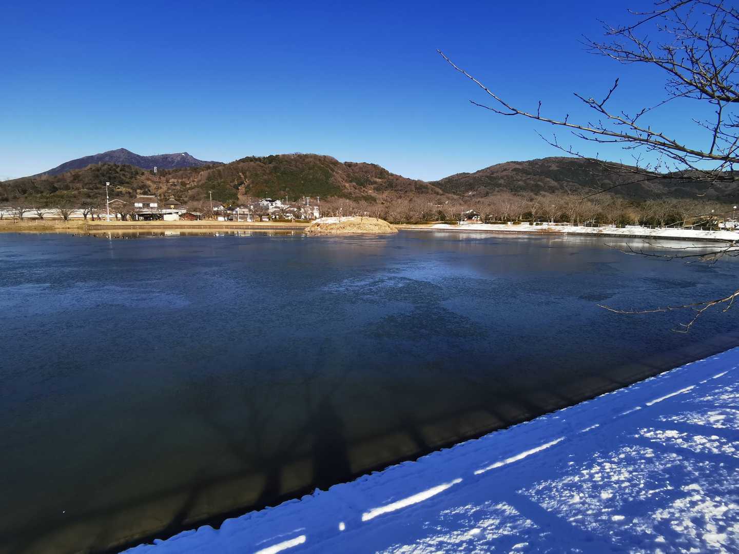 大池公園