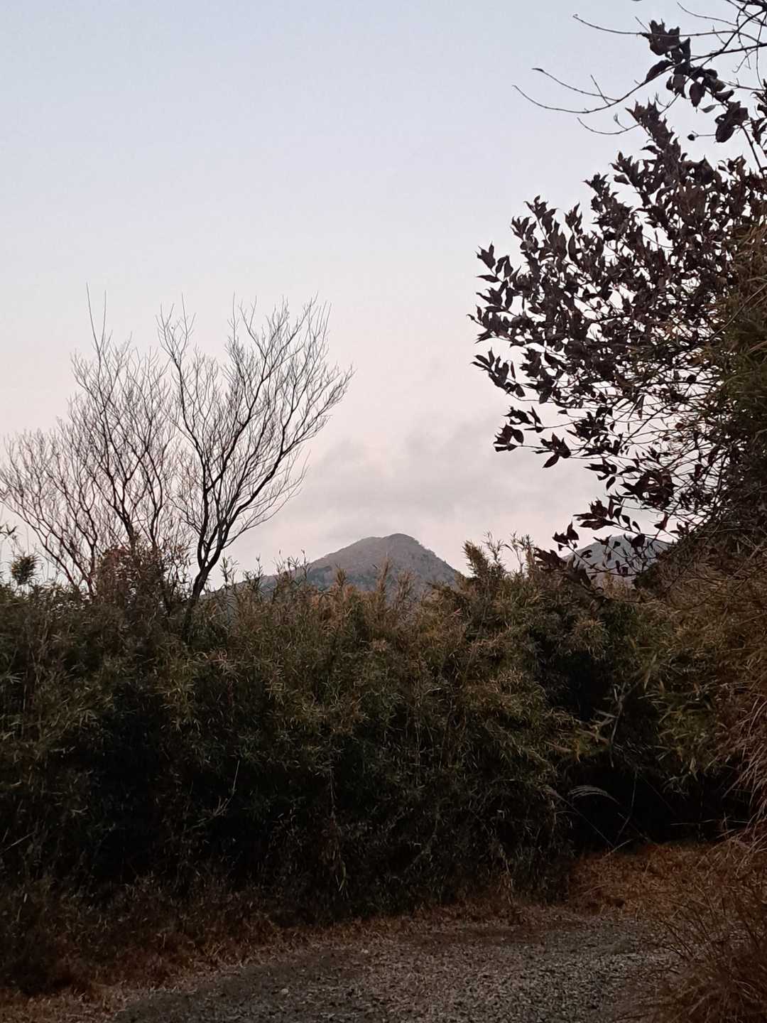 まずは愛鷹山🗻
