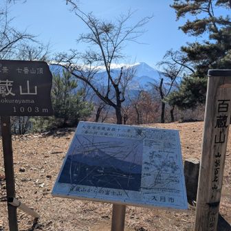 百蔵山山頂だ〜ここには先客がお一人いらっしゃった!