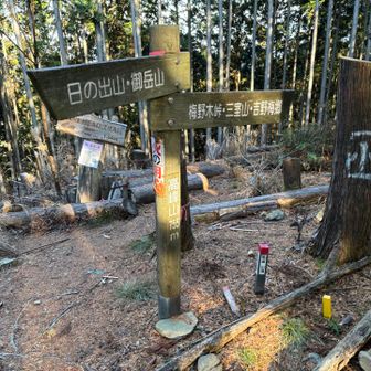 高嶺山から初めてラニヘッドトレイルとやらを降りて行きます。