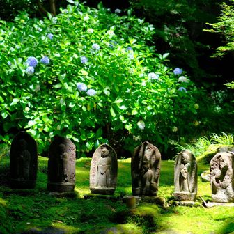 整列するお地蔵様がかわいい