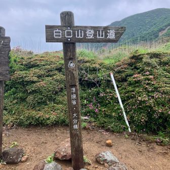 峠を右➡️