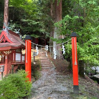 神社でピークを稼ぐいつものやつ
ここが登山口