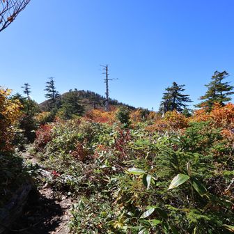 野谷荘司山はあのピークか？…