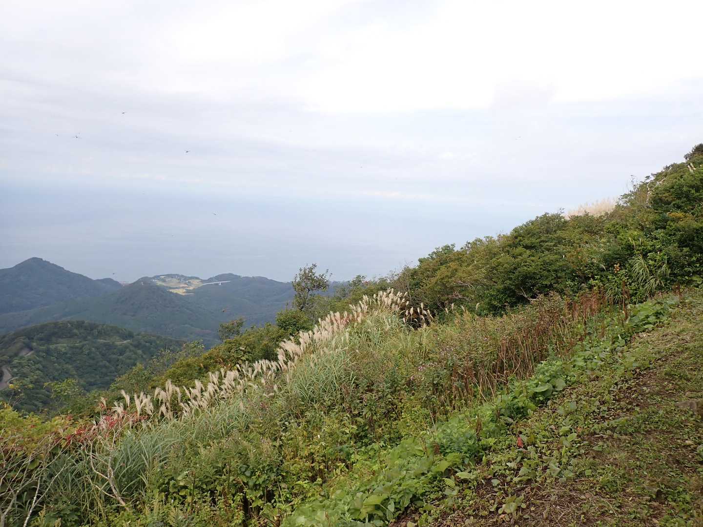 米山（水野林道口）＜水野林道コース＞の写真