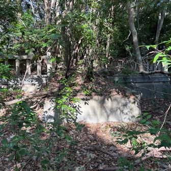 神社後のようだ
