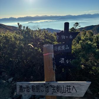 まぶしい
