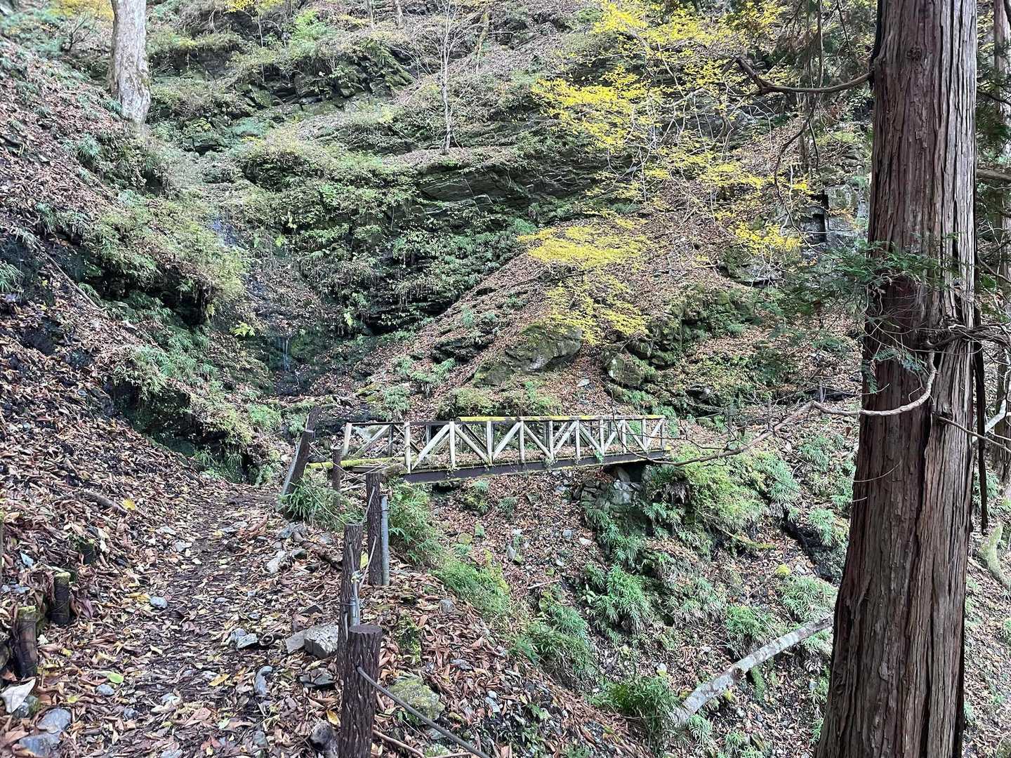 寒い🥶。序盤は陽があたらない。