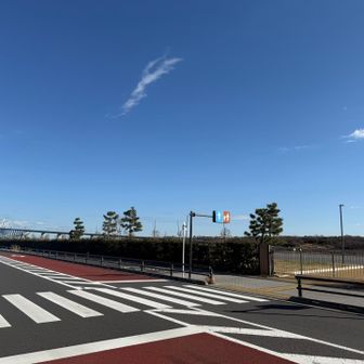 よーく整備されてる道を歩いて