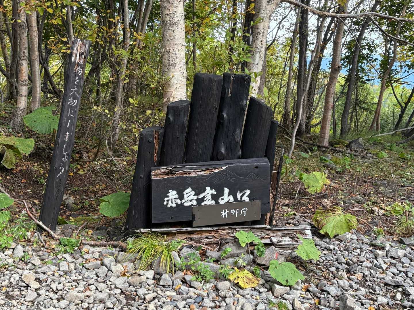 入ります‼️