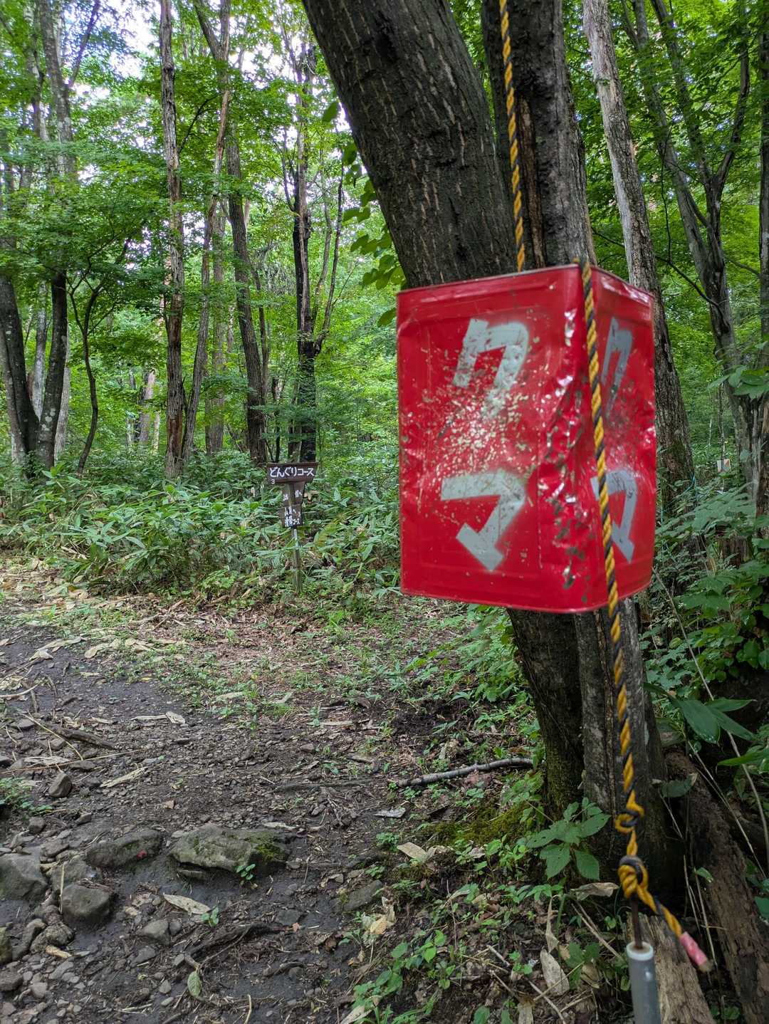 久しぶりに泉ヶ岳、滑降コーススタートです。
こちらは水神コースと違い、人が少なく静かです。
しかし皆さん、熊缶叩きすぎでは。
否、これは思い切りガンガンやっちゃうよね。