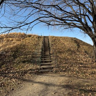 おおおーーーっ、古墳っぽい❗️