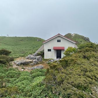 雨に合わないうちに下ります