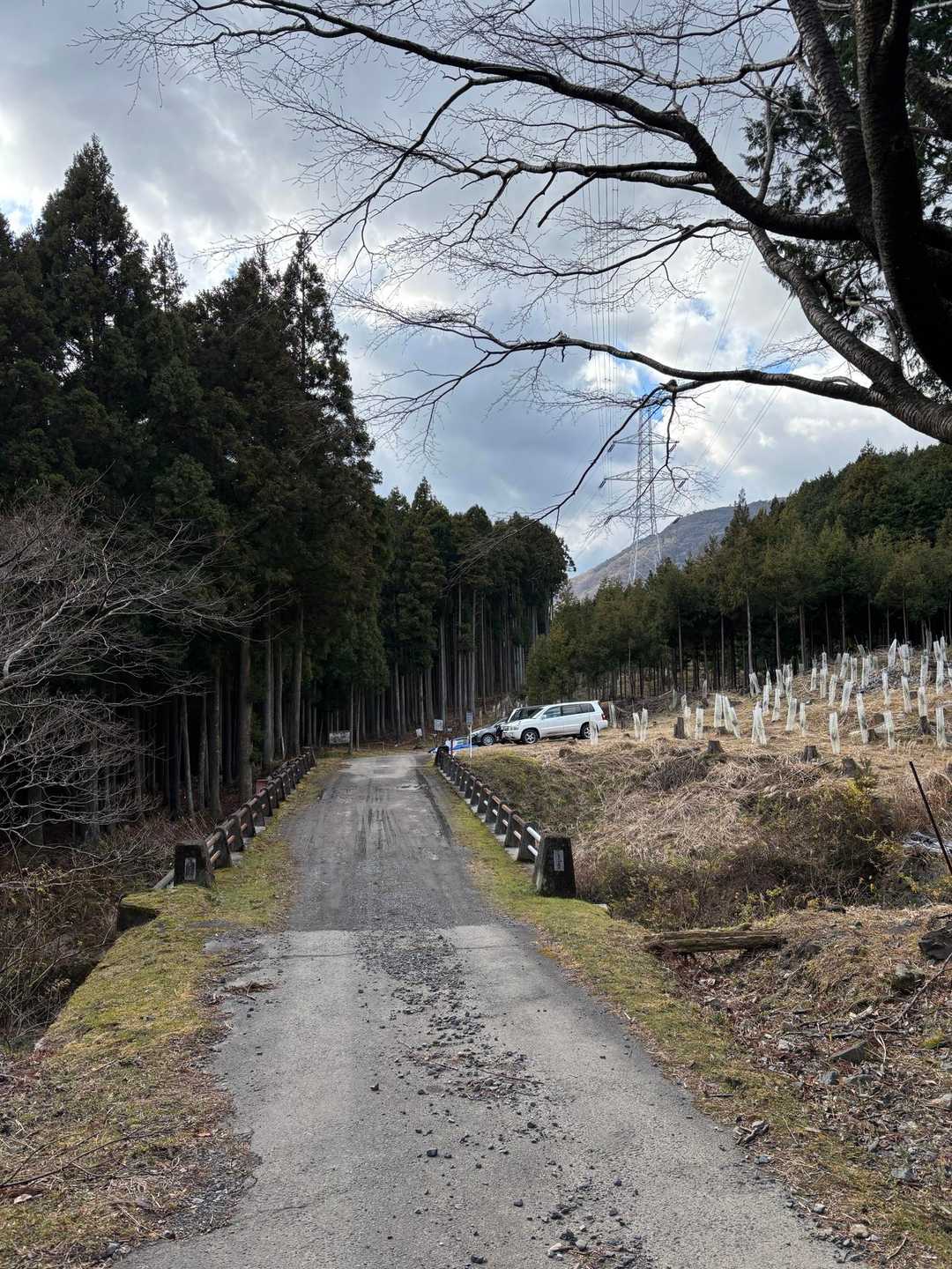 車見えて来たよー（他人のやけど）