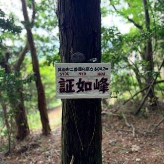 折り返し！
13:00までに家に戻らなければ💨