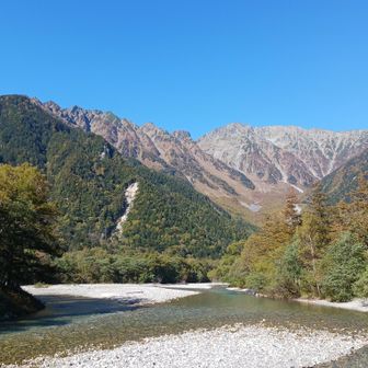 嬉しい