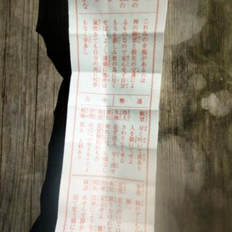 なにれに、、、じゃないんだ、、、