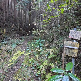 千早口駅から来た時の登山口。途中拾って、ポール代わりに使ってたいい感じの棒とはここでお別れ。